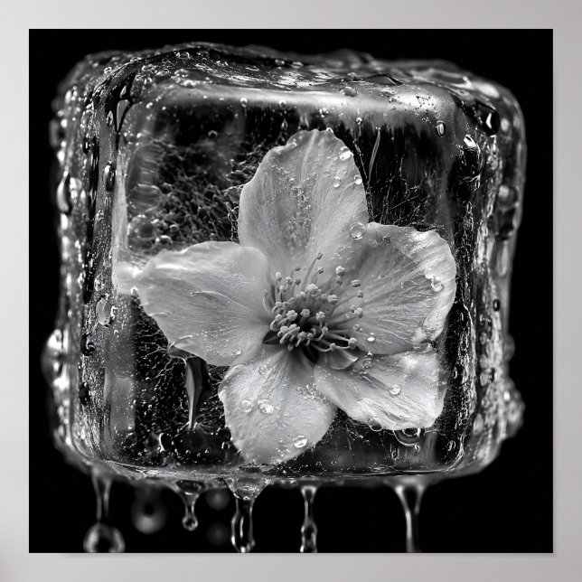 Frozen Flower Melting Ice Poster (Front)