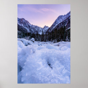 Frozen foliage and mountains at sunset poster