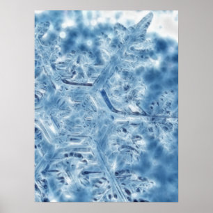 Frozen Ice Crystal Fractal Snowflake Poster
