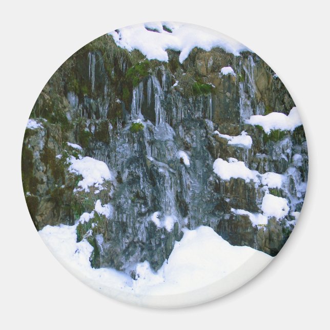 Frozen in time... magnet (Front)
