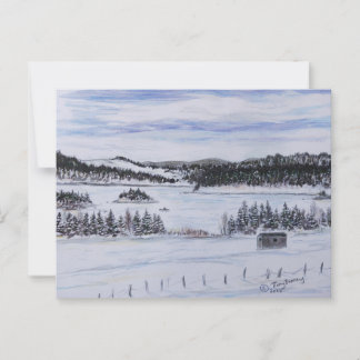 Frozen lake Fox trap NL Gull rocky pond Postcard