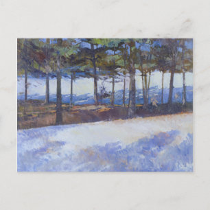 Frozen Lake New York State Postcard