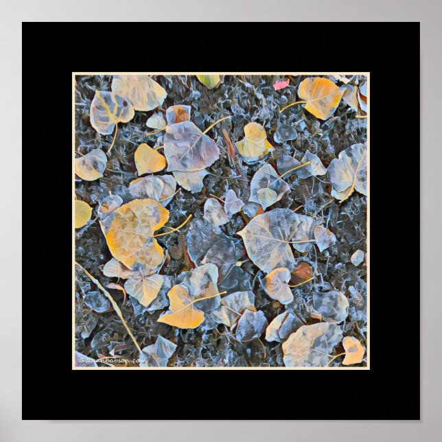Frozen Leaves Poster (Front)