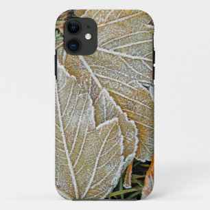 Frozen Maple iPhone 5 Casemate Case