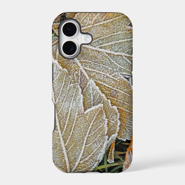 Frozen Maple iPhone 5 Casemate Case (Back)