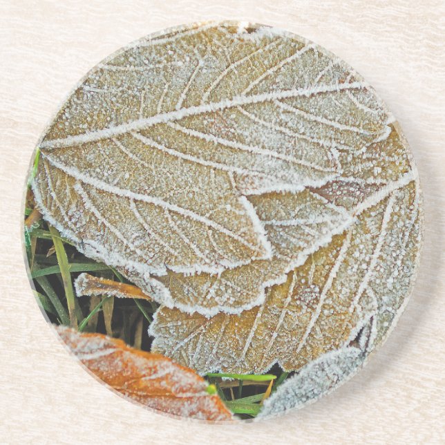 Frozen Maple Sandstone Coaster (Front)