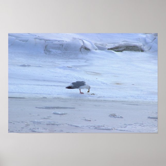 Frozen Ocean with Seagull Poster (Front)