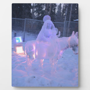 Frozen plaque