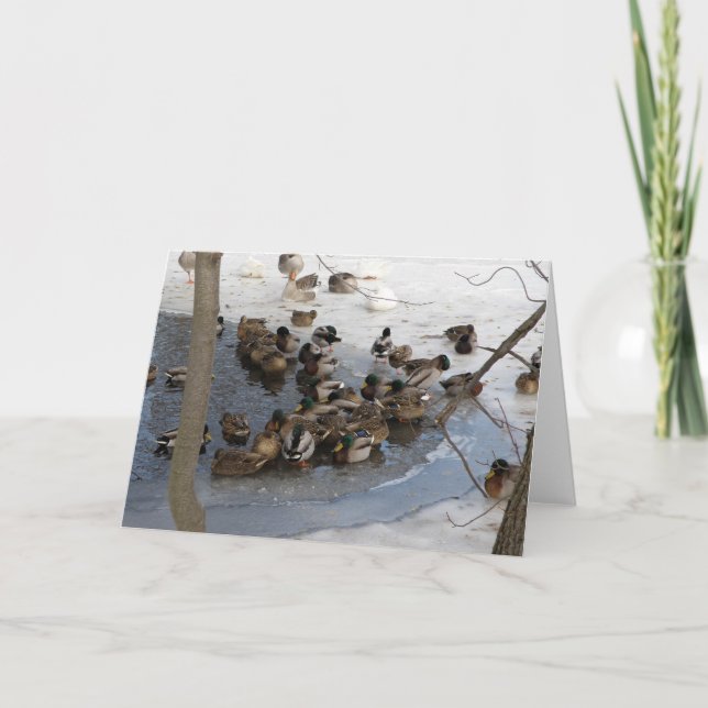 Frozen Pond with Ducks Holiday Card (Front)