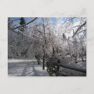 Frozen Postcard