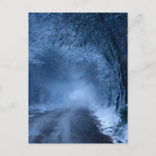 Frozen Postcard