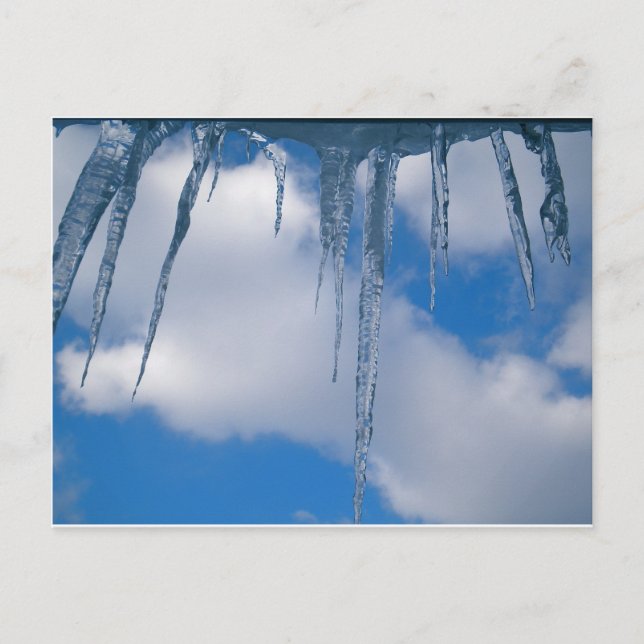 Frozen Postcard (Front)