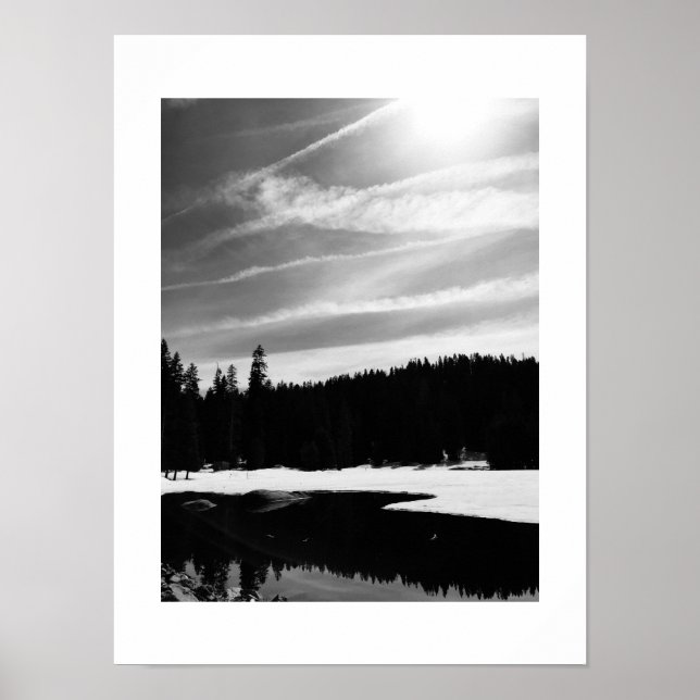 Frozen Reflection Black and White Photography Poster (Front)