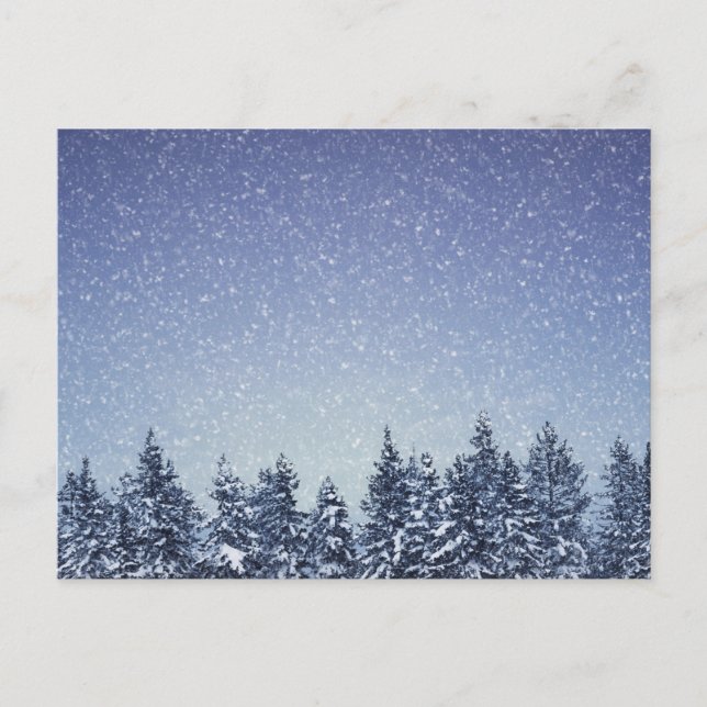 Frozen Snow Winter Forest Scene Postcard (Front)