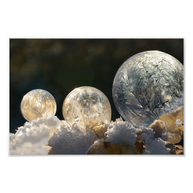 Frozen Soap Bubbles Ice Crystal Winter  Paperprint Photo Print (Front)