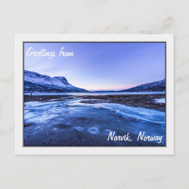 Frozen Stream on the Narvik Shores Postcard (Front)