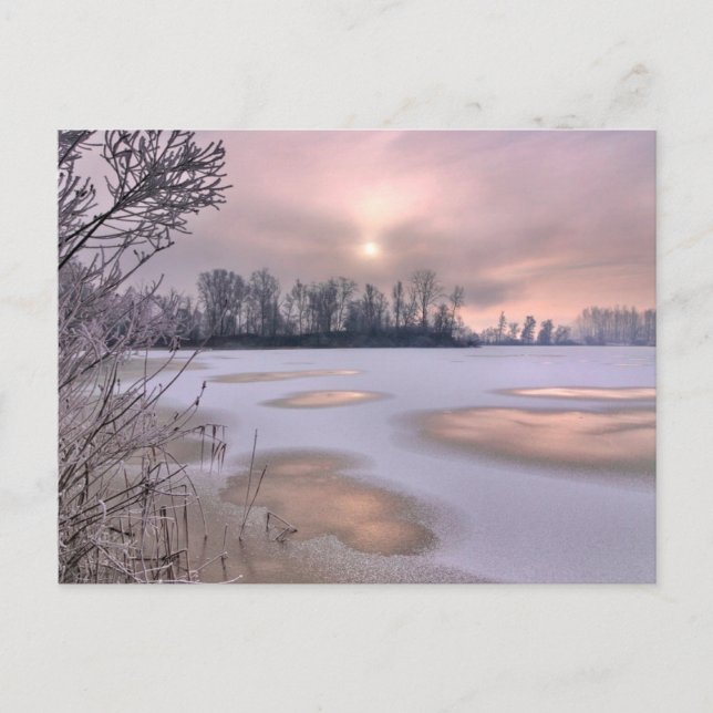 Frozen Surface | Po River, Piedmont, Italy Postcard (Front)
