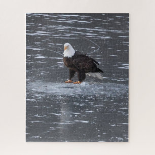 Frozen Waters Eagle Puzzle
