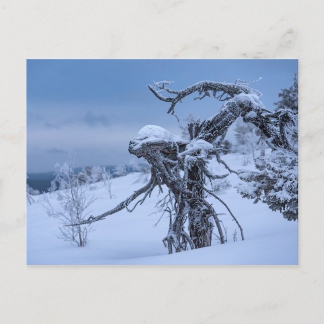Frozen wooden alien postcard (Front)