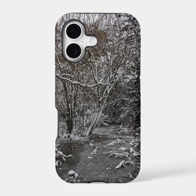 Frozen world (Back)