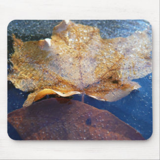 Frozen Yellow Maple Leaf Autumn Nature Mouse Pad