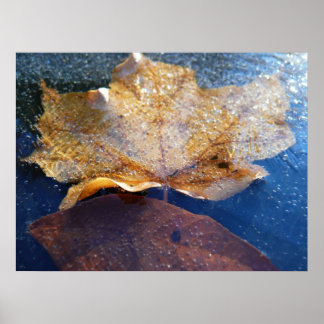 Frozen Yellow Maple Leaf Autumn Nature Poster