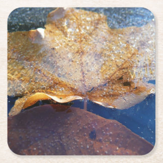 Frozen Yellow Maple Leaf Autumn Nature Square Paper Coaster