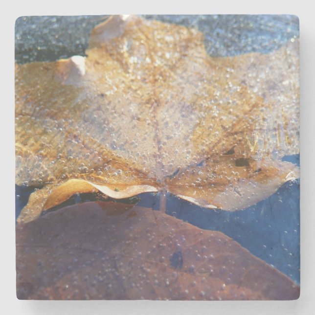 Frozen Yellow Maple Leaf Autumn Nature Stone Coaster (Front)