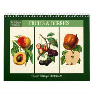 Fruit and Berries Vintage Botanical 2025 Calendar