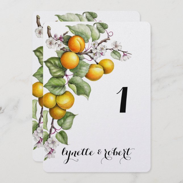 Fruit and Floral Watercolor Wedding Table Number (Front/Back)