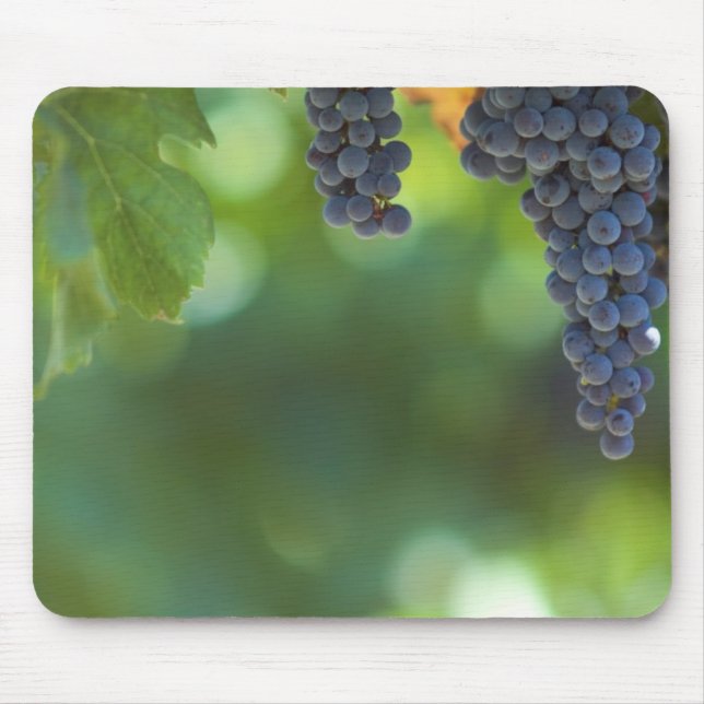 Fruit and Food Mousepad 15 (Front)