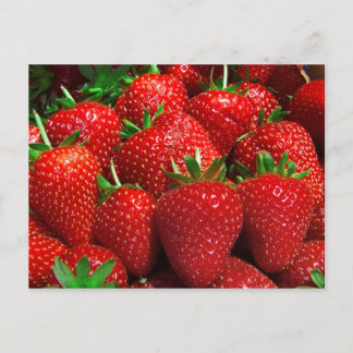 Fruit and Food Postcard 3