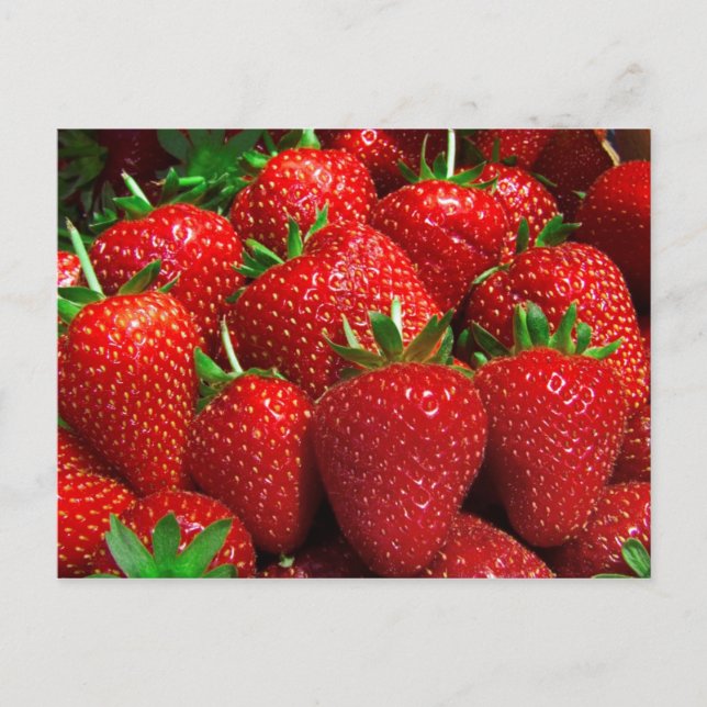 Fruit and Food Postcard 3 (Front)