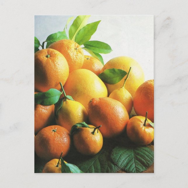 Fruit and vegetables, oranges and lemons postcard (Front)
