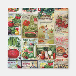 Fruit and Veggies Seed Catalogue Collage Magnet