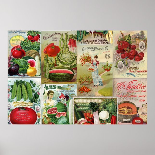 Fruit and Veggies Seed Catalogue Collage Poster (Front)