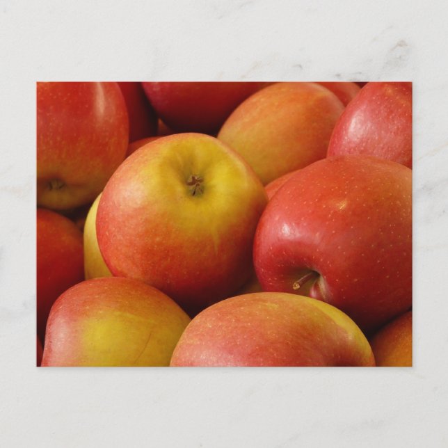Fruit Apples Autumn Colours Destiny Postcard (Front)