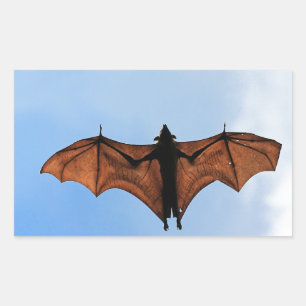 Fruit bat rectangular sticker