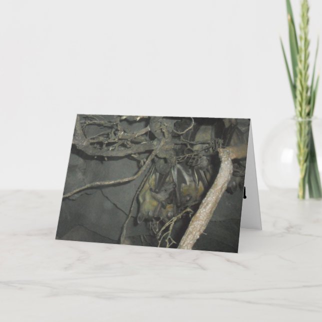 "Fruit Bats" Get Well Card (Front)