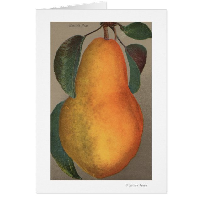 Fruit Chromo Lithograph of Bartlett Pear (Front)