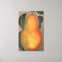 Fruit Chromo Lithograph of Bartlett Pear