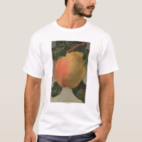 Fruit Chromo Lithograph of Belleflower Apple