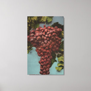 Fruit Chromo Lithograph of California Grapes Canvas Print