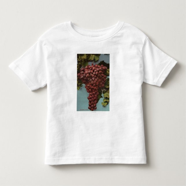 Fruit Chromo Lithograph of California Grapes Toddler T-Shirt (Front)
