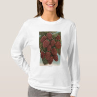 Fruit Chromo Lithograph of LoganberriesState