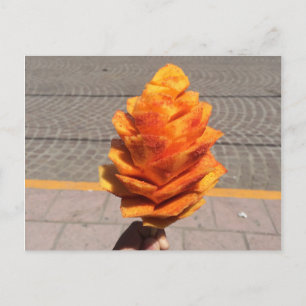 Fruit Flower Postcard