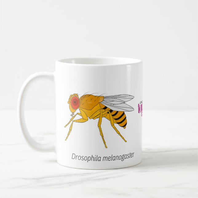 Fruit Fly Mug (Left)