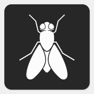 Fruit Fly Square Sticker