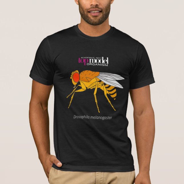Fruit fly T-shirt (Front)