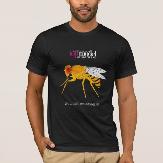 Fruit fly T-shirt (Front)